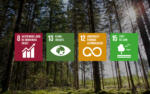 Superwood følger 4 af FNs verdensmål